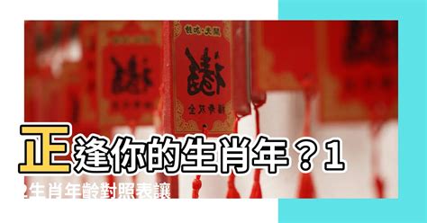 生肖年齡配對|搞懂十二生肖年齡、西元年份，2024龍年你幾歲？